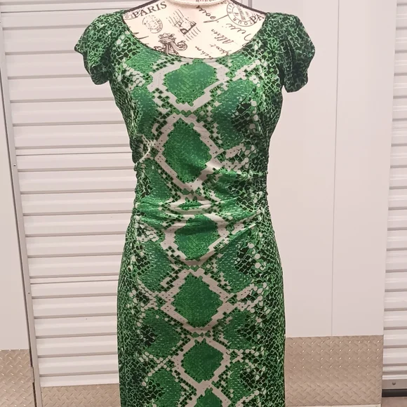 slim fit dress slacks Embellished Cowl Neck A-line Mini Dress in Green Snake